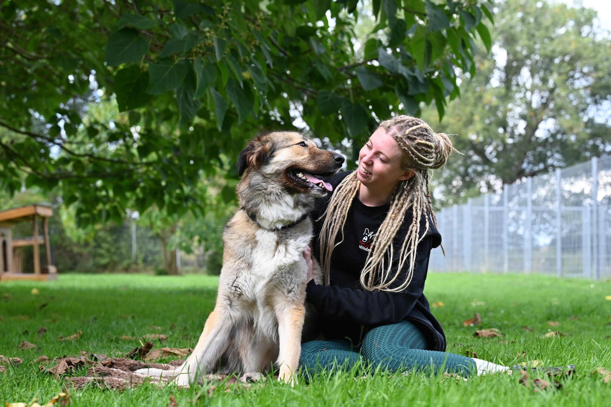 Nali, Herdenschutzhund-Mix – Tierheim Minden
